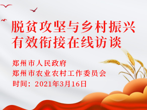 脱贫攻坚与乡村振兴有效衔接在线访谈